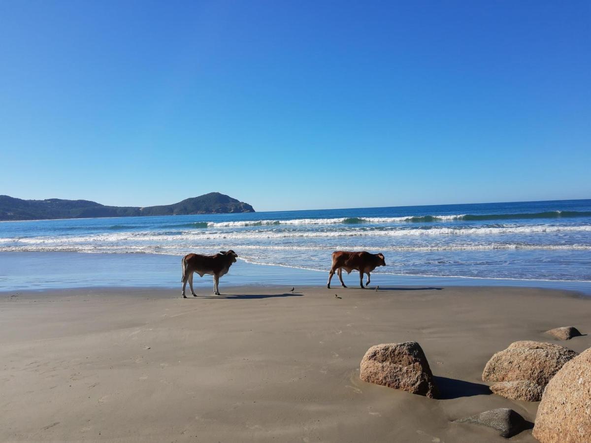 Pousada Gopak Praia do Rosa Eksteriør bilde