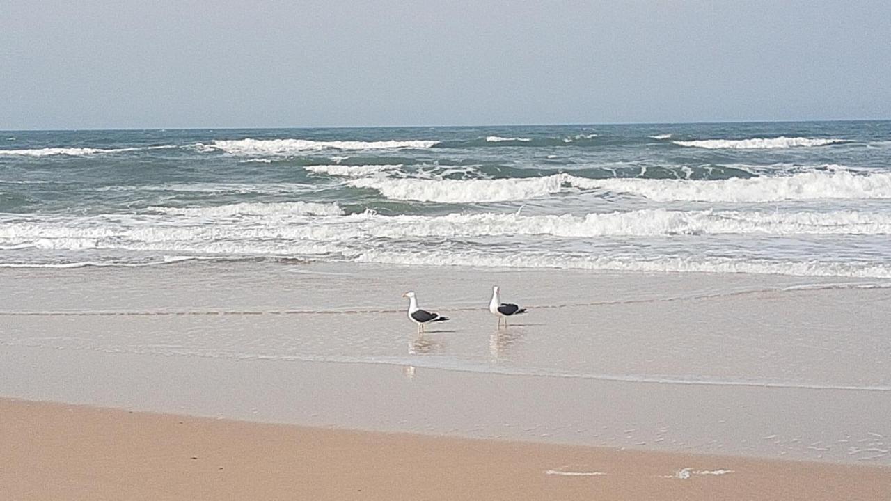 Pousada Gopak Praia do Rosa Eksteriør bilde