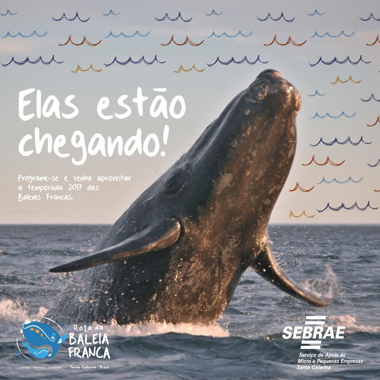 Pousada Gopak Praia do Rosa Eksteriør bilde